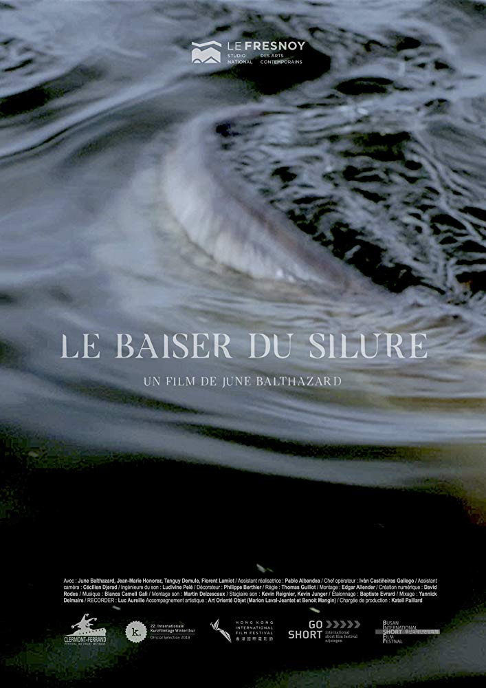 Le baiser du silure