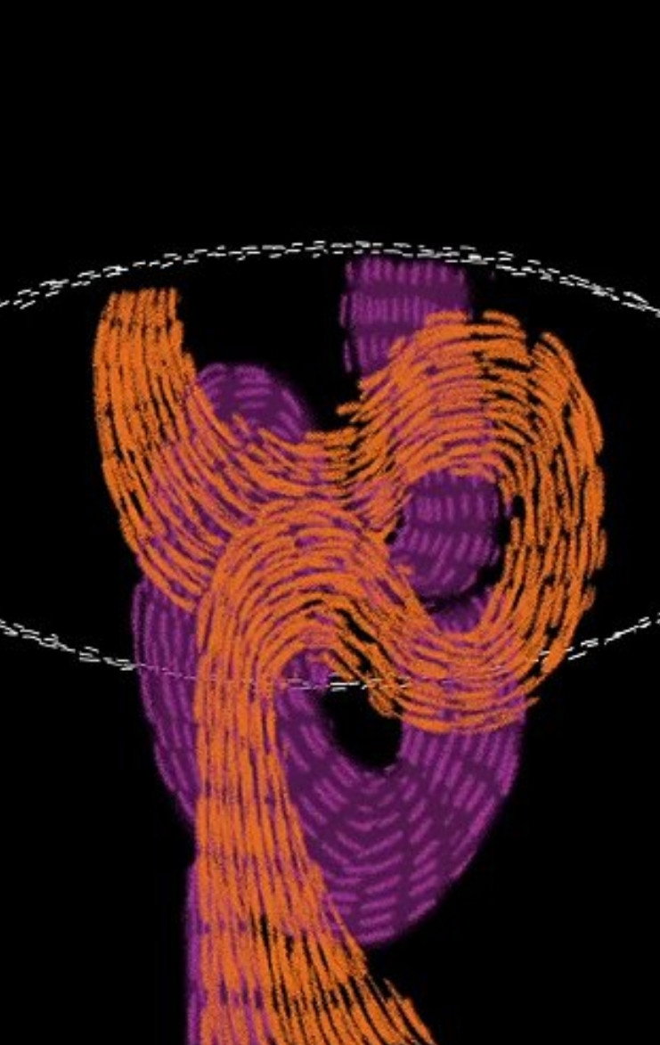 SCENTation SYNESTHESIA