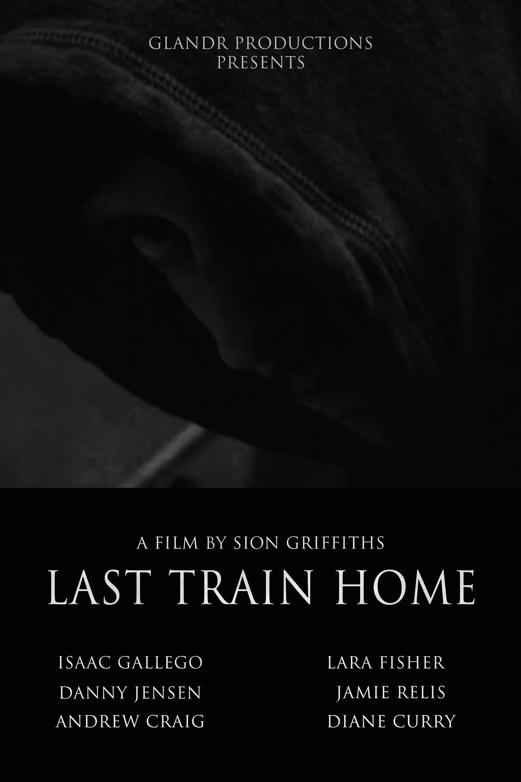 Last Train Home