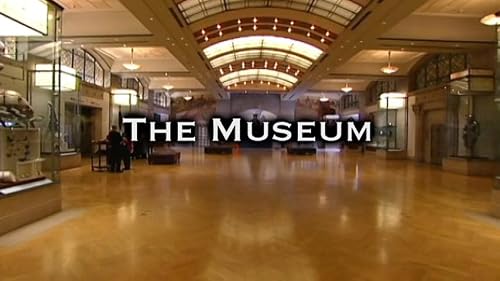 The Museum