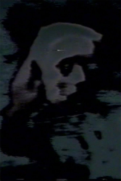 Pictures of the Lost