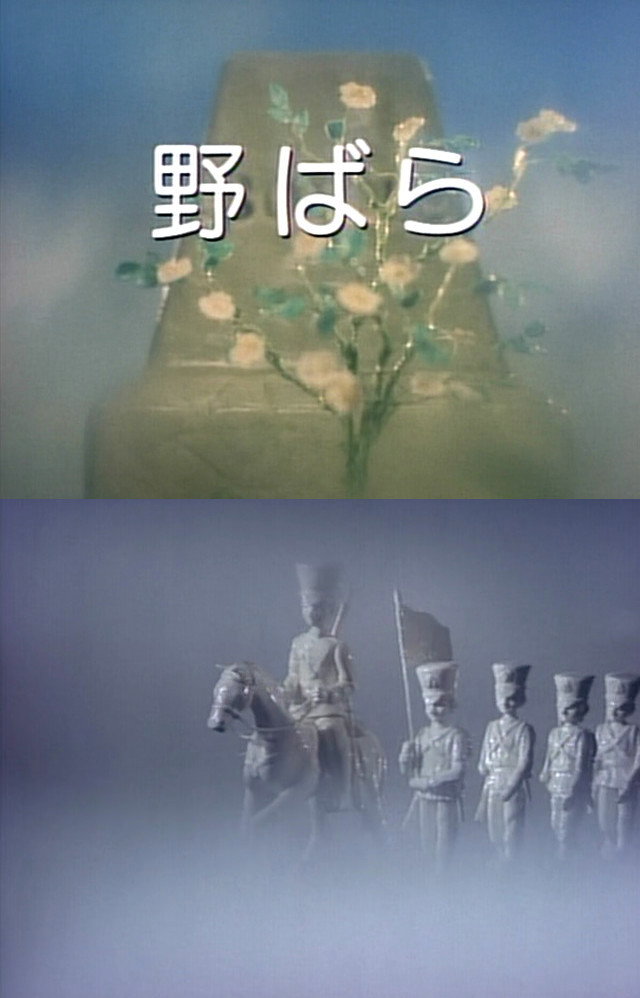 野ばら