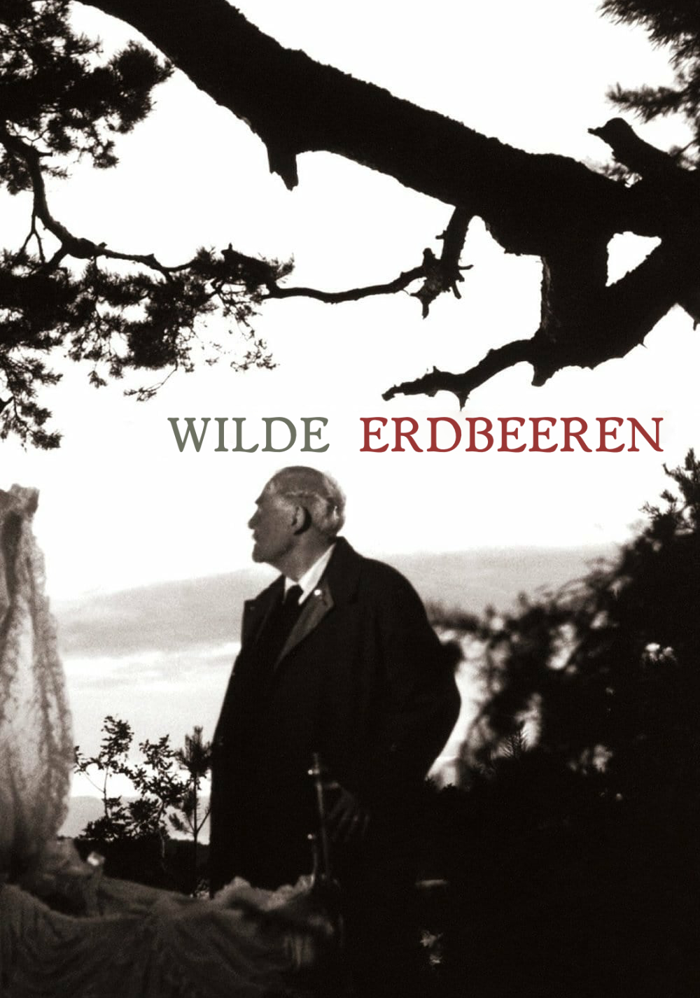 Wilde Erdbeeren
