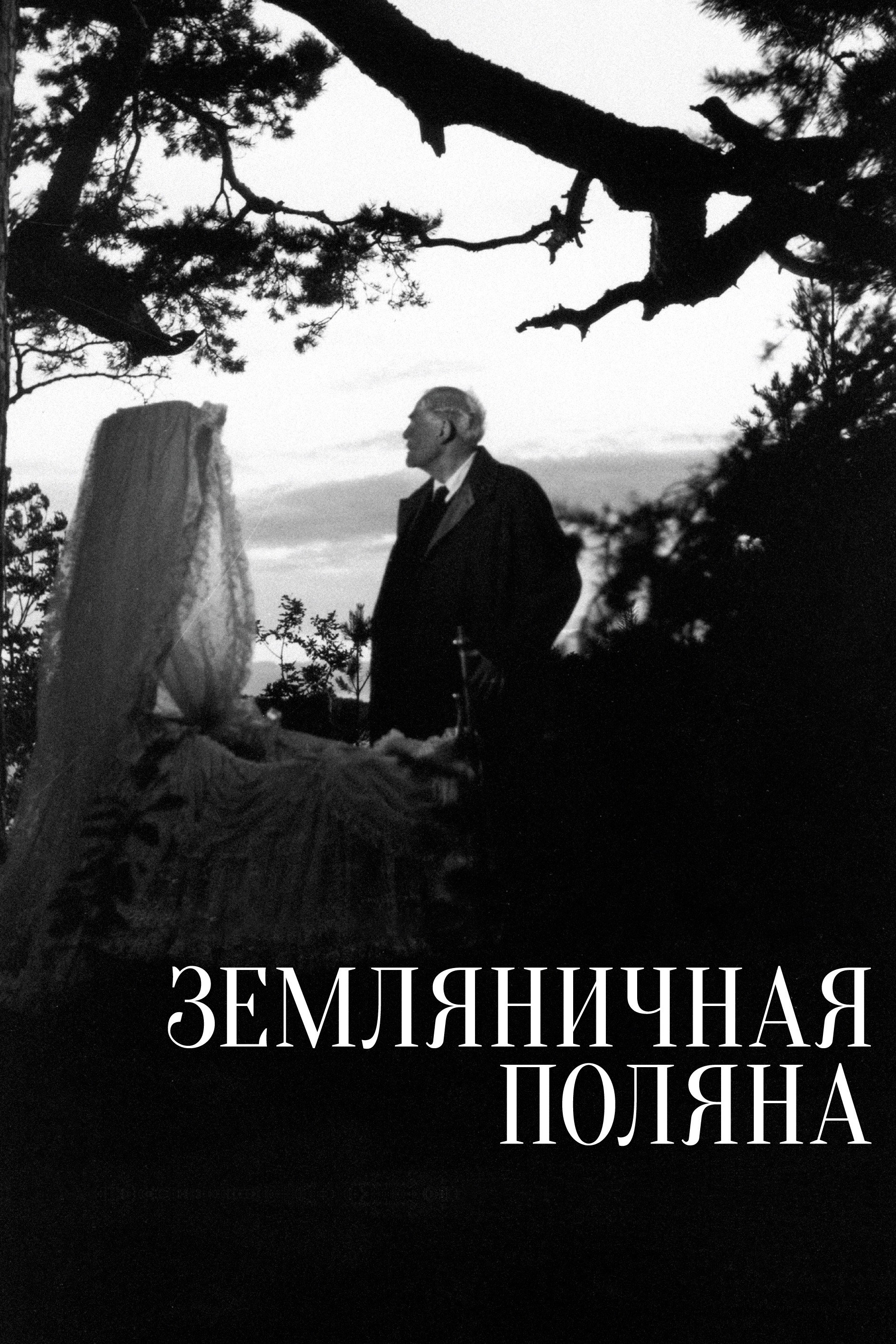 Yaban Çilekleri