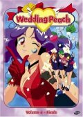 Wedding Peach - Die Engel der Liebe
