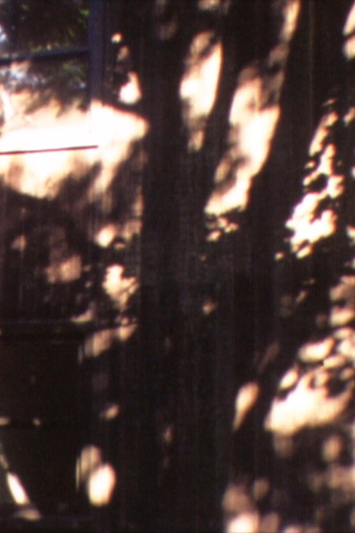 Baumschatten
