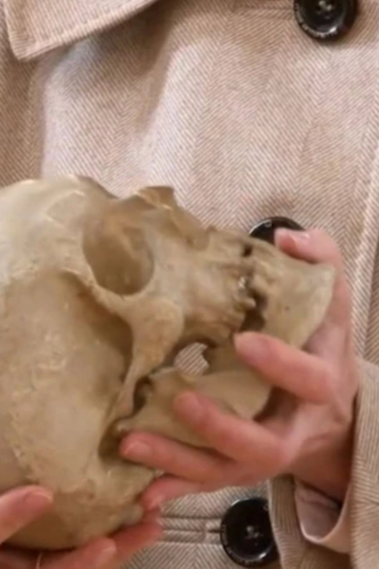 Leibnitz' Skull