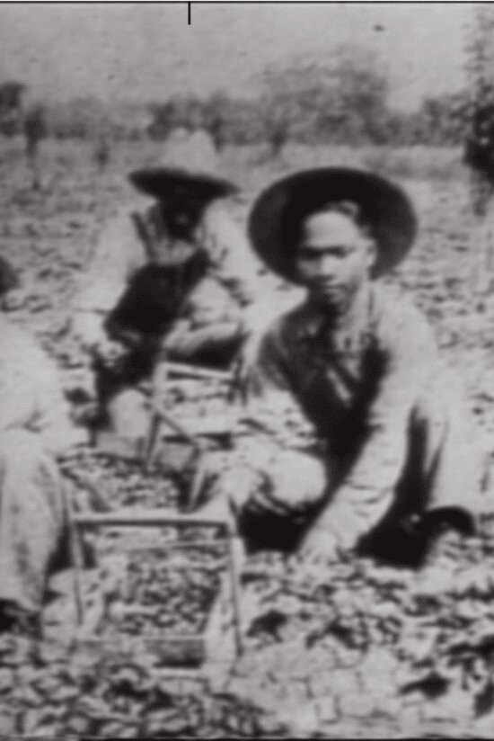 In No One's Shadow: Filipinos in America