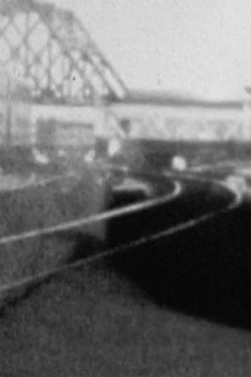 Figure With 14 Trains