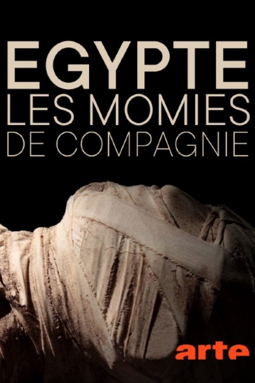 Rätselhafte Hundemumien/Egypte: Les momies de compagnie