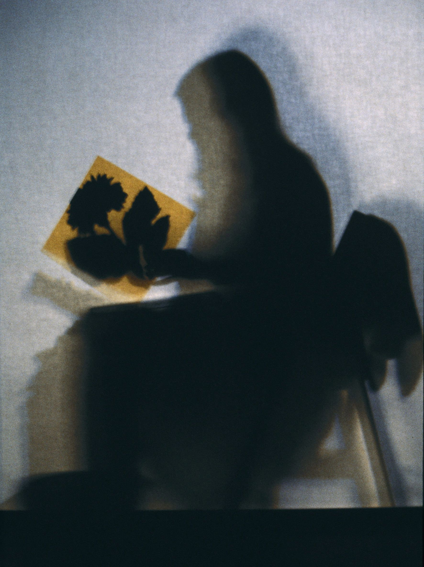 Lourdes Castro Sombras