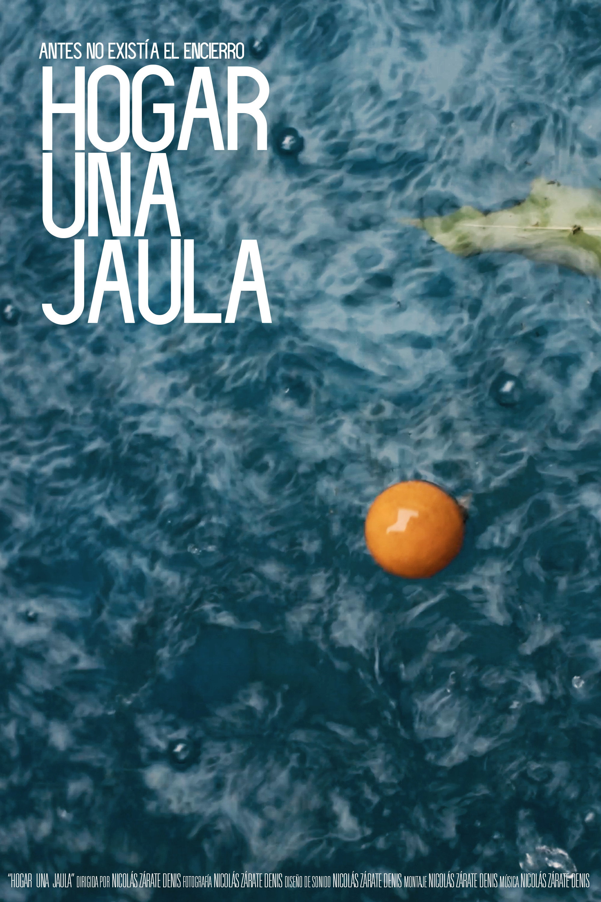 Hogar una jaula