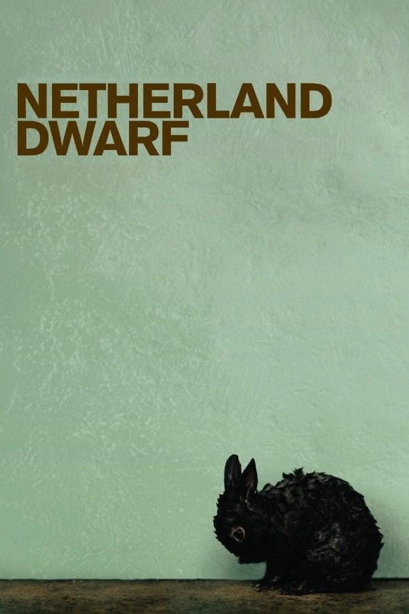 Niederländischer Zwerg