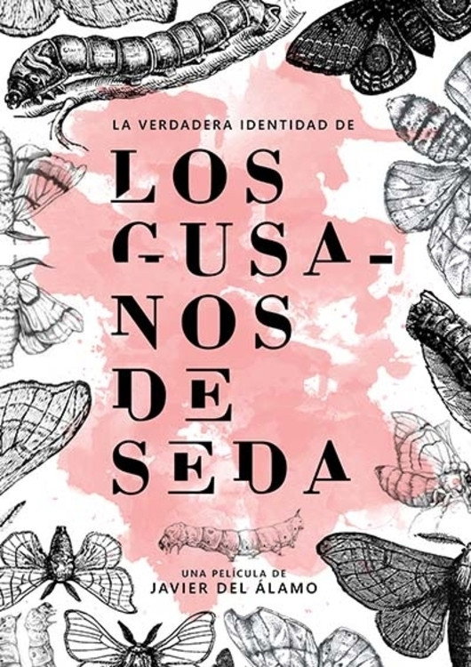 La verdadera identidad de los gusanos de seda