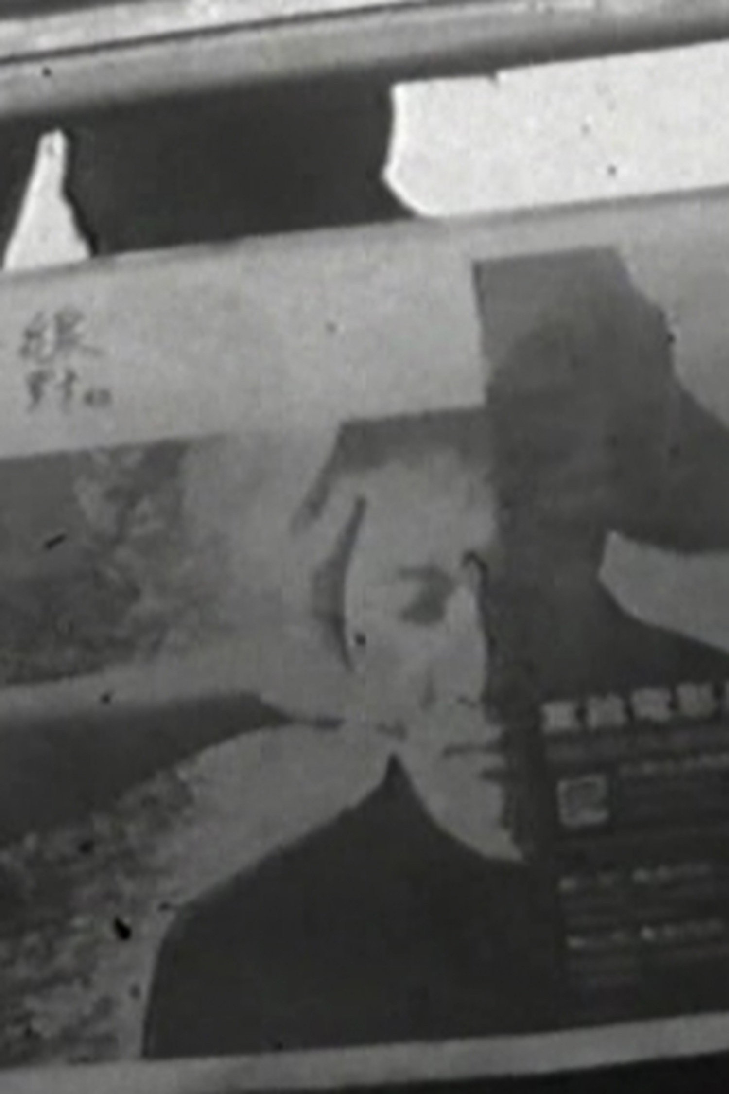 全線
