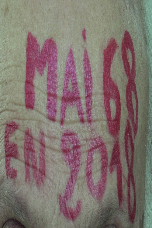 Mai 68 en 2018