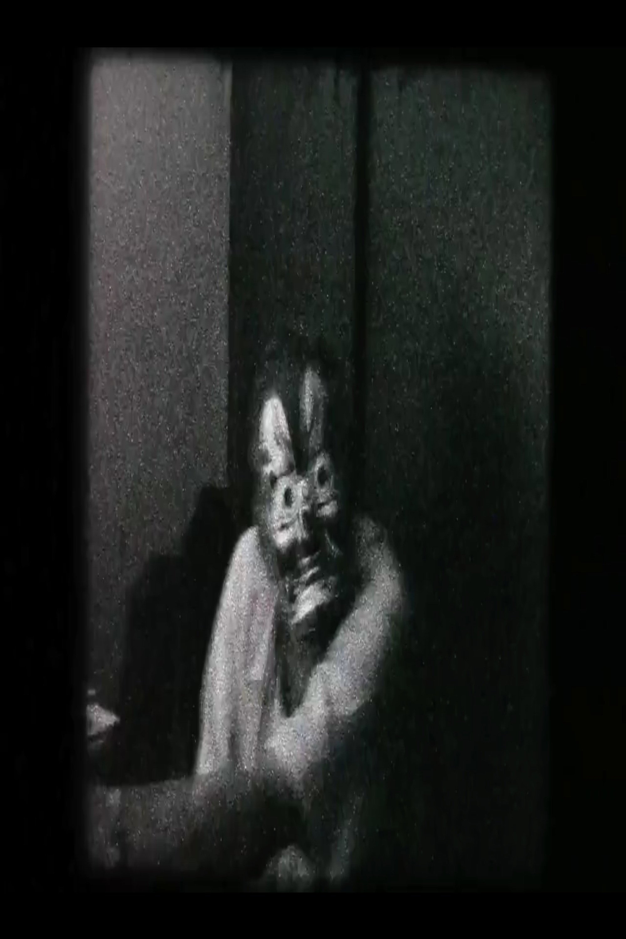 O cinema segundo Luiz Rô