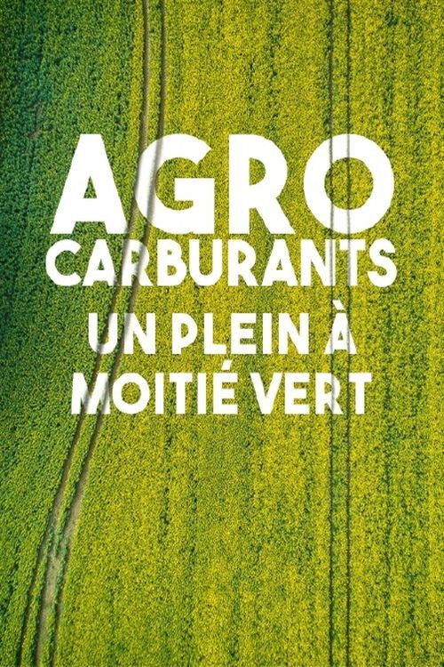 Agrocarburants, un plein à moitié vert