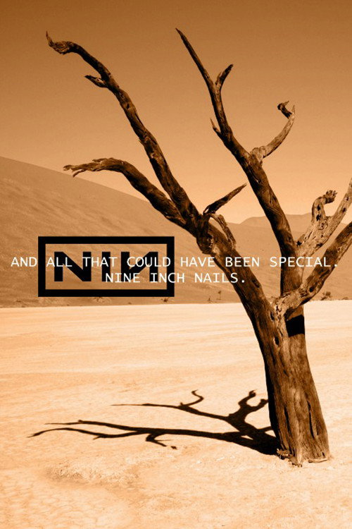 Nine Inch Nails: And All That Could Have Been - TV Cable Special