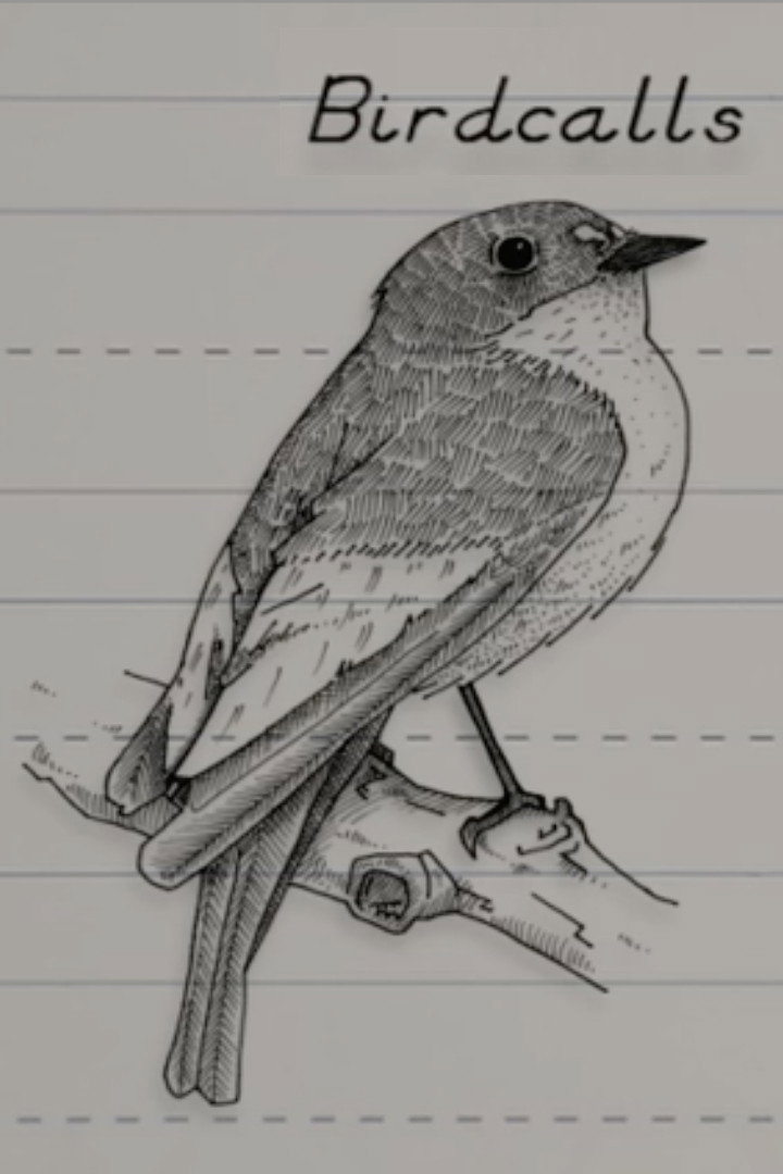 Birdcalls
