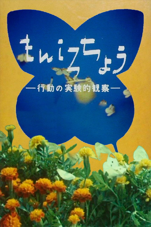 もんしろちょう－行動の実験的観察