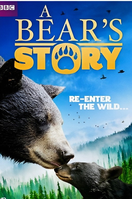 A Bear's Story: Spirit's Adventure