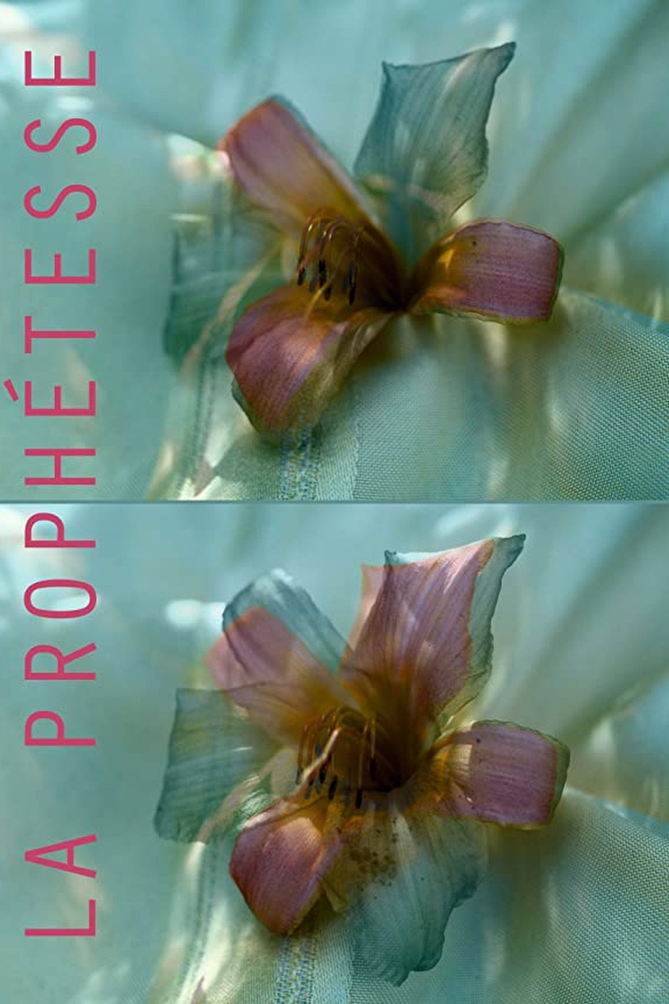 La Prophétesse