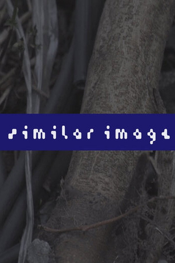 Similar Image