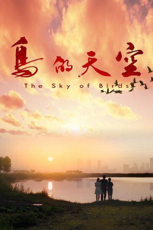 Птицы в небе