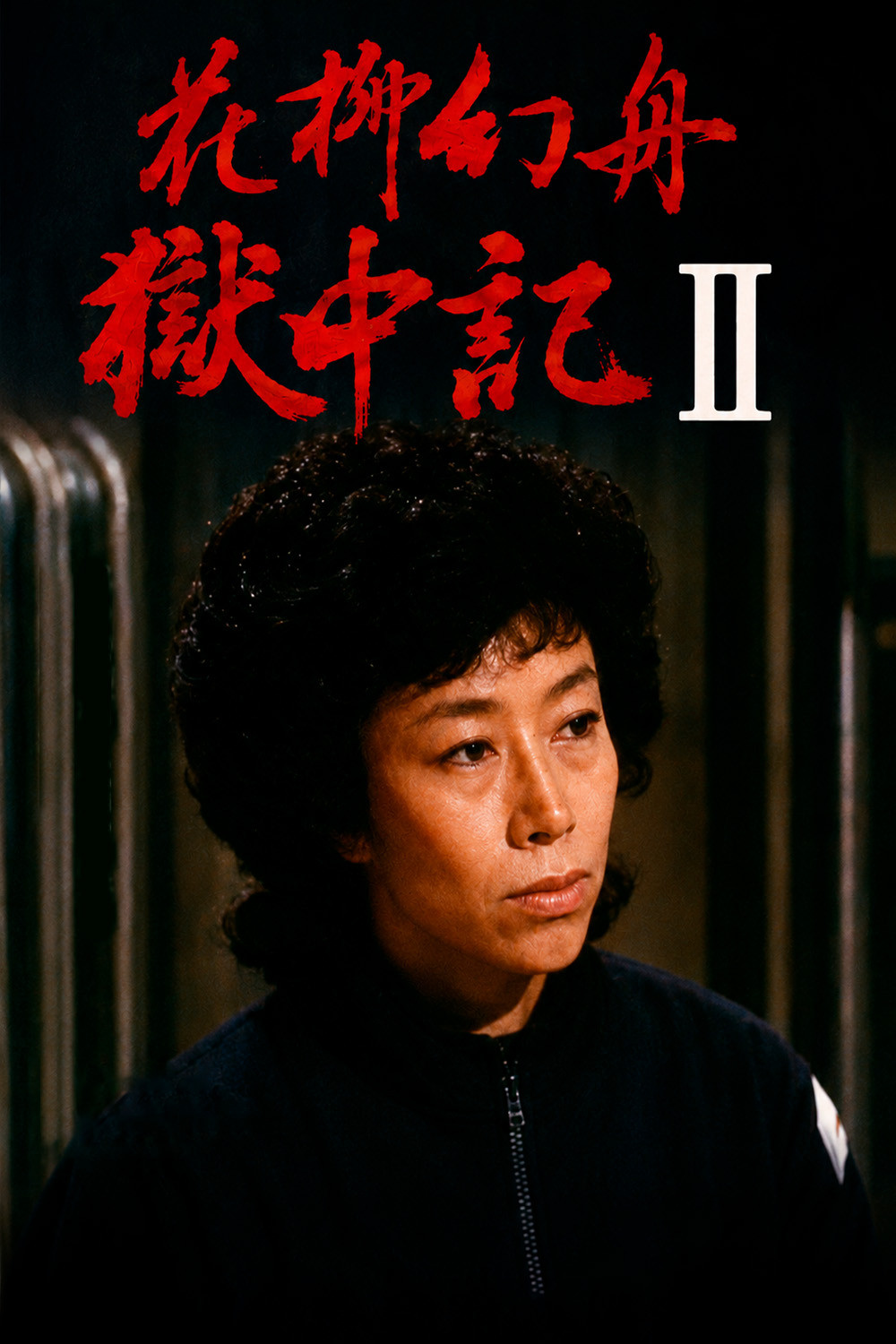 花柳幻舟獄中記II