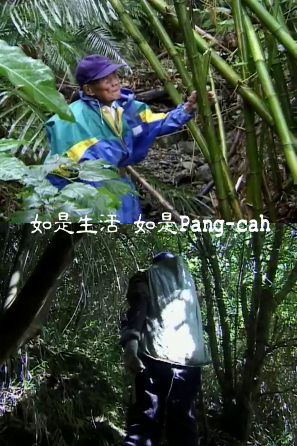 如是生活  如是Pang-cah