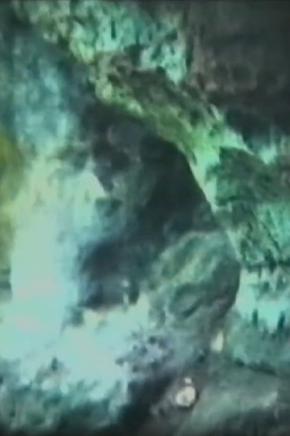 Penetrating Through the Cave