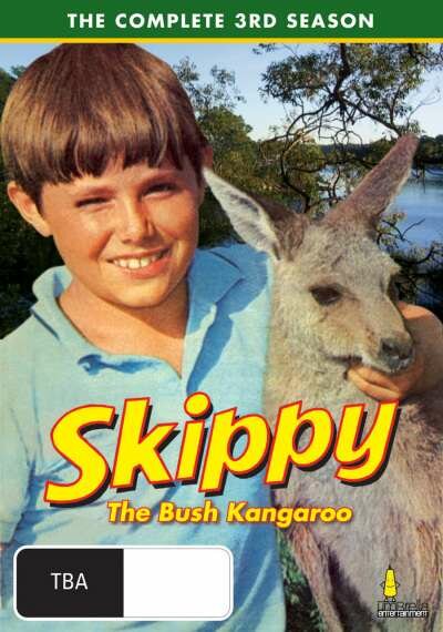Skippy, das Buschkänguruh