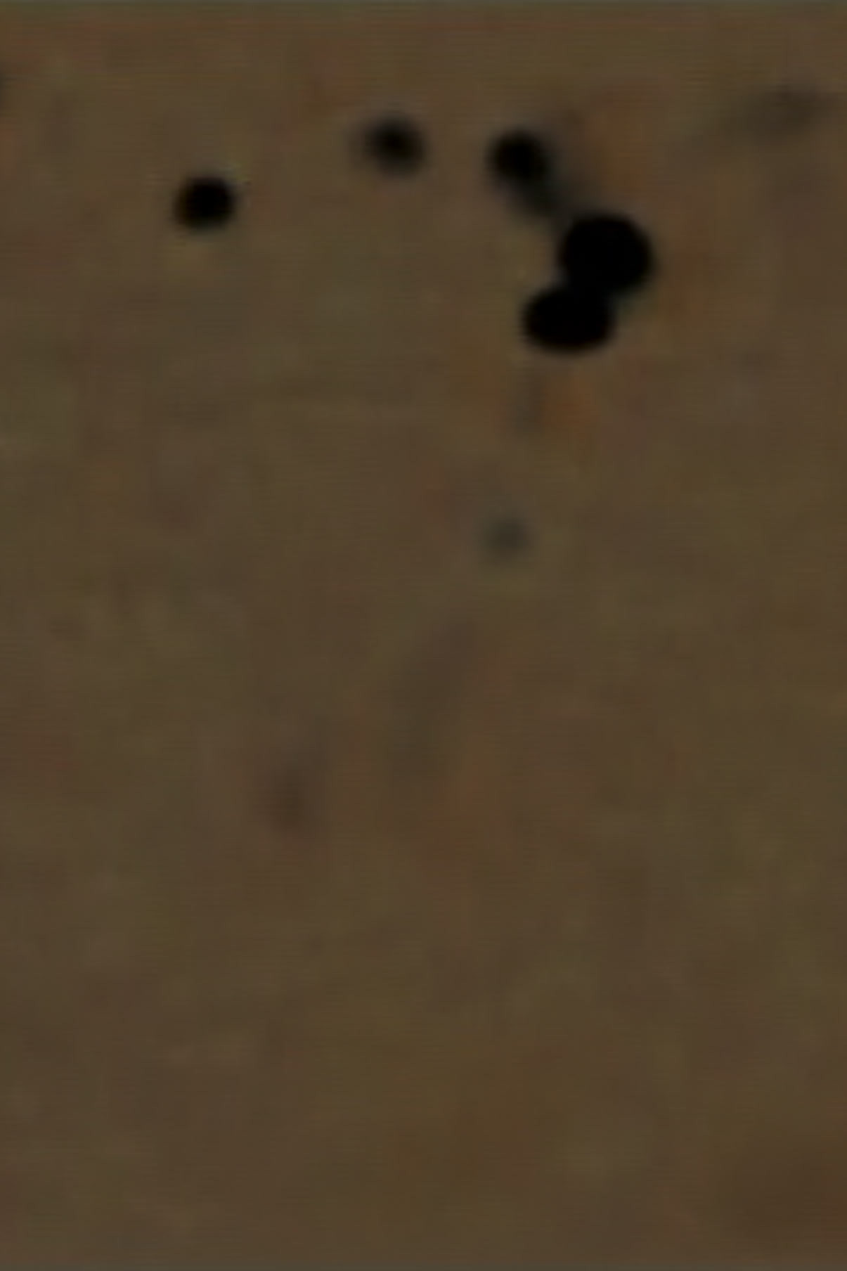Confusion