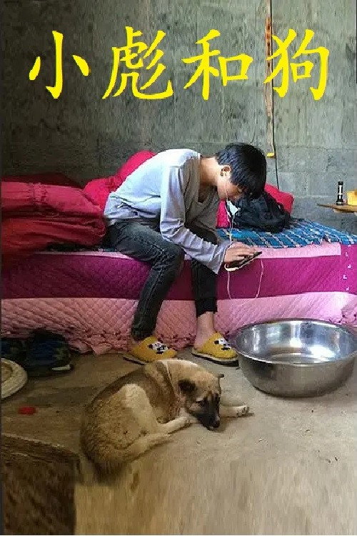 小彪和狗