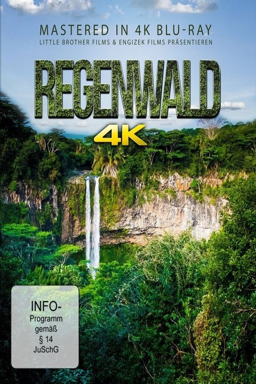 Regenwald