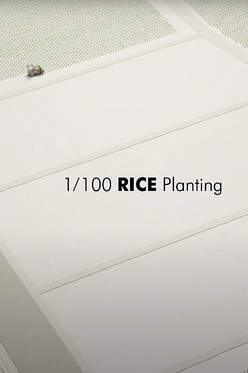 1/100 RICE Planting