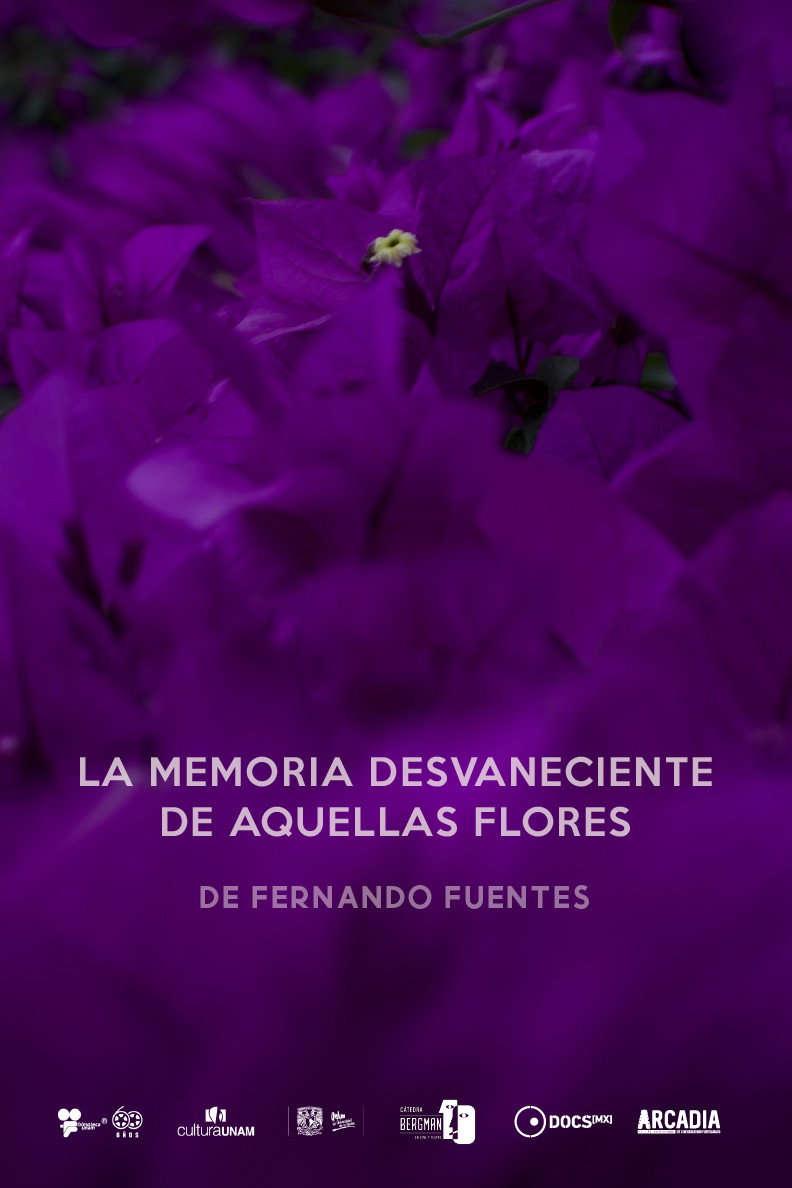 La memoria desvaneciendo de aquellas flores