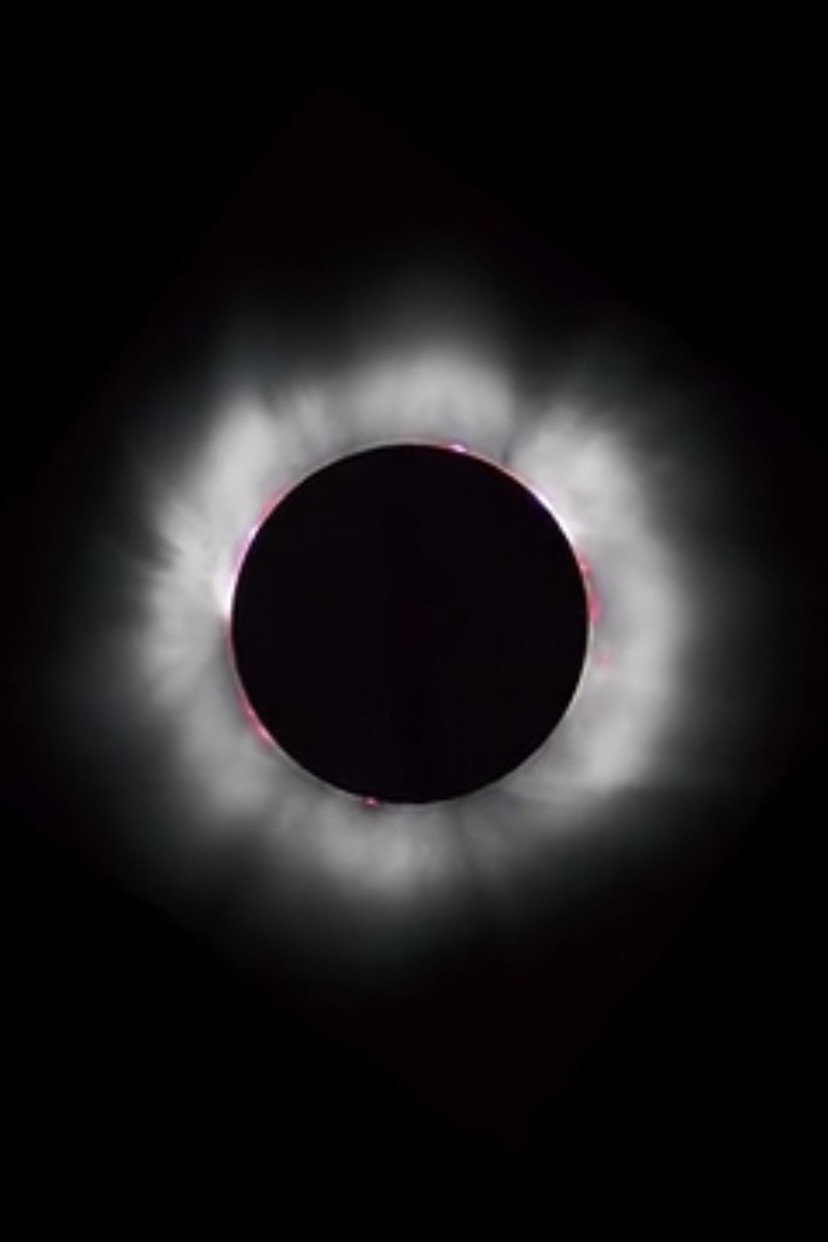 CORONAL LOOPS