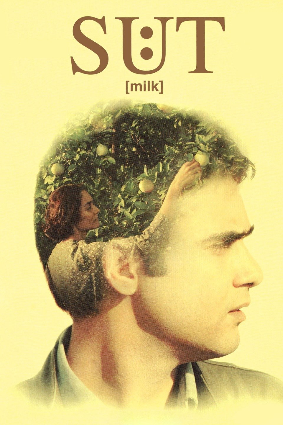Süt - Milch
