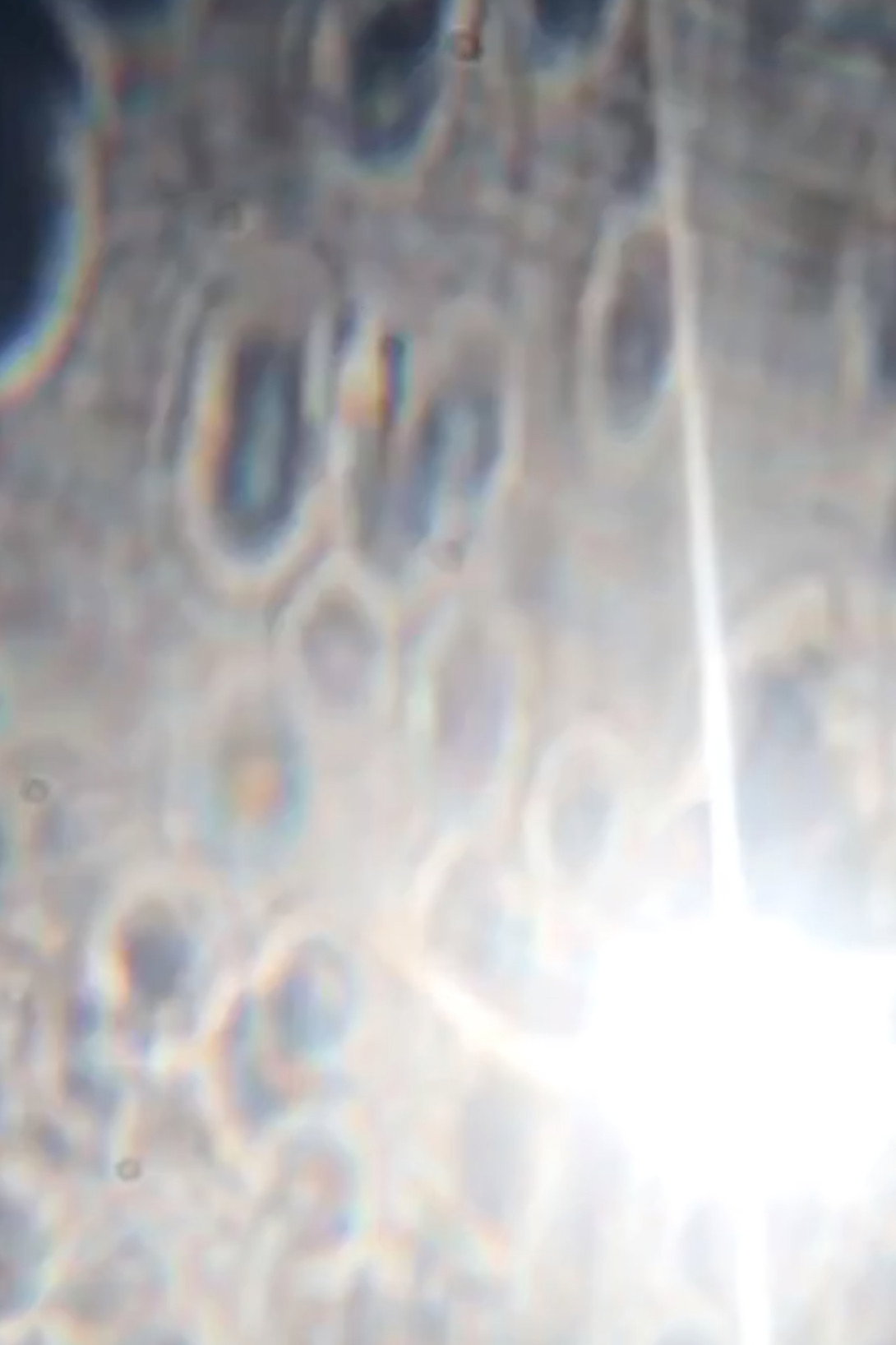 A Wet Shield