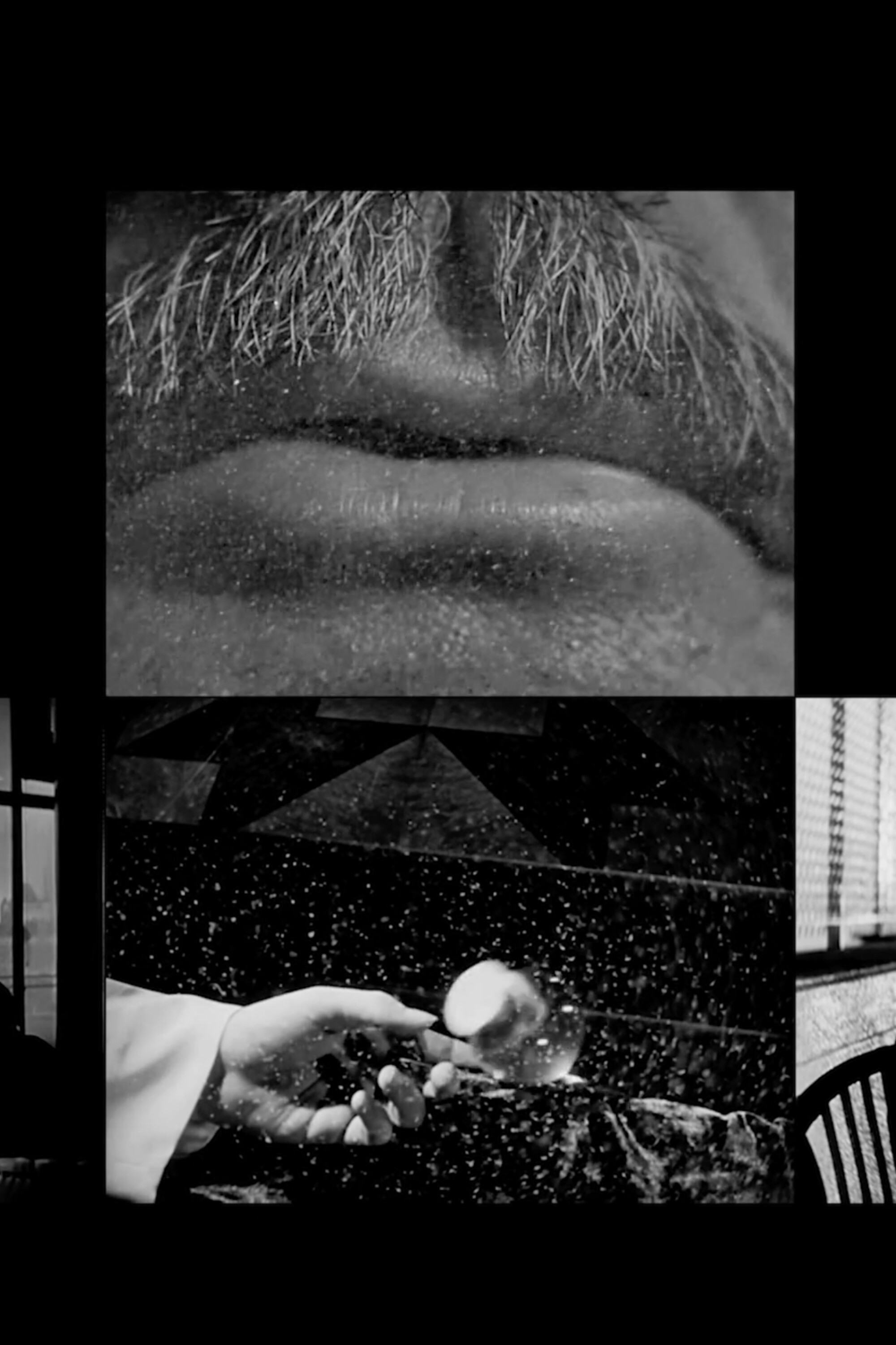 Cinema Study