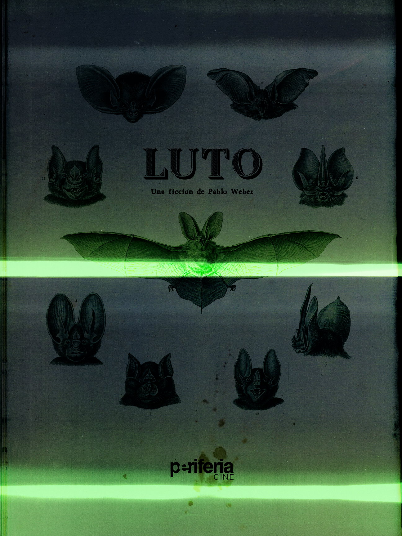 Luto