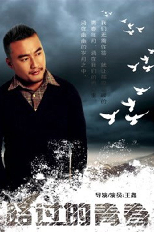 路过的青春