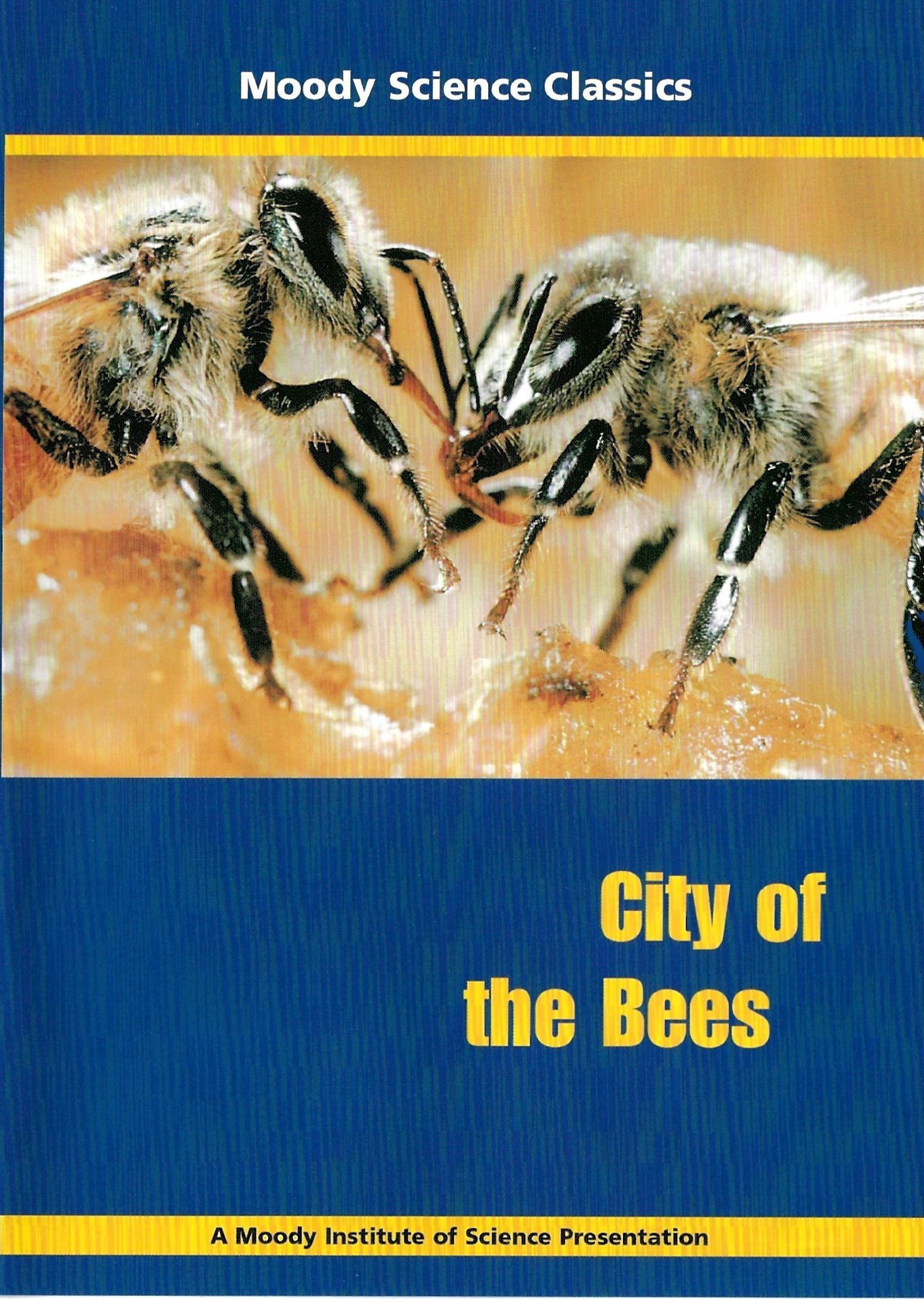 City of the Bees