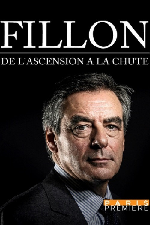 Fillon, de l'ascension à la chute