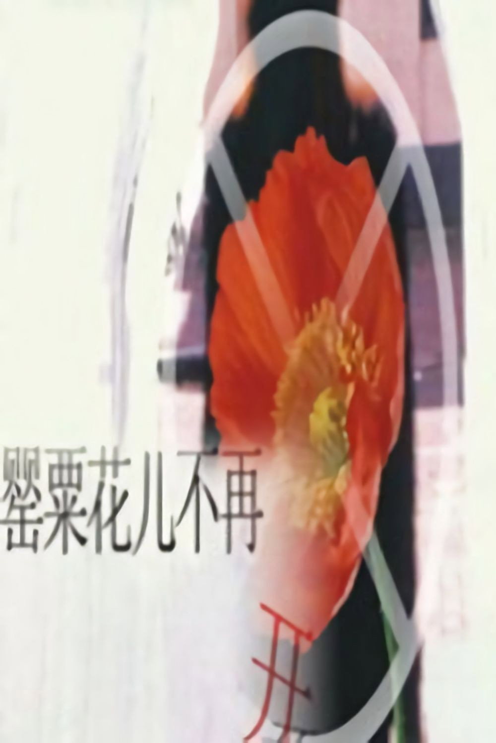 罂粟花儿不再开