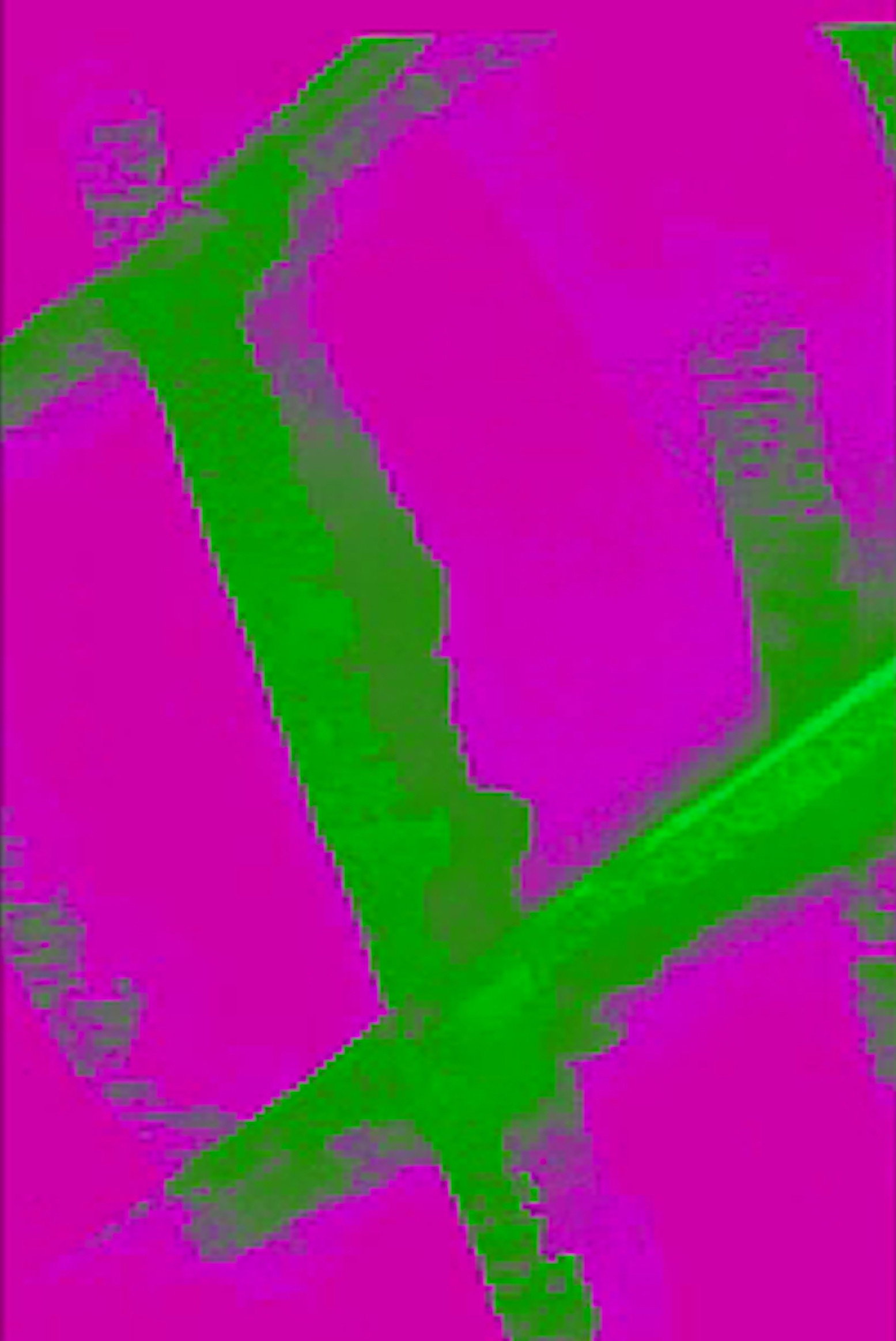 Trames 2 - All Over