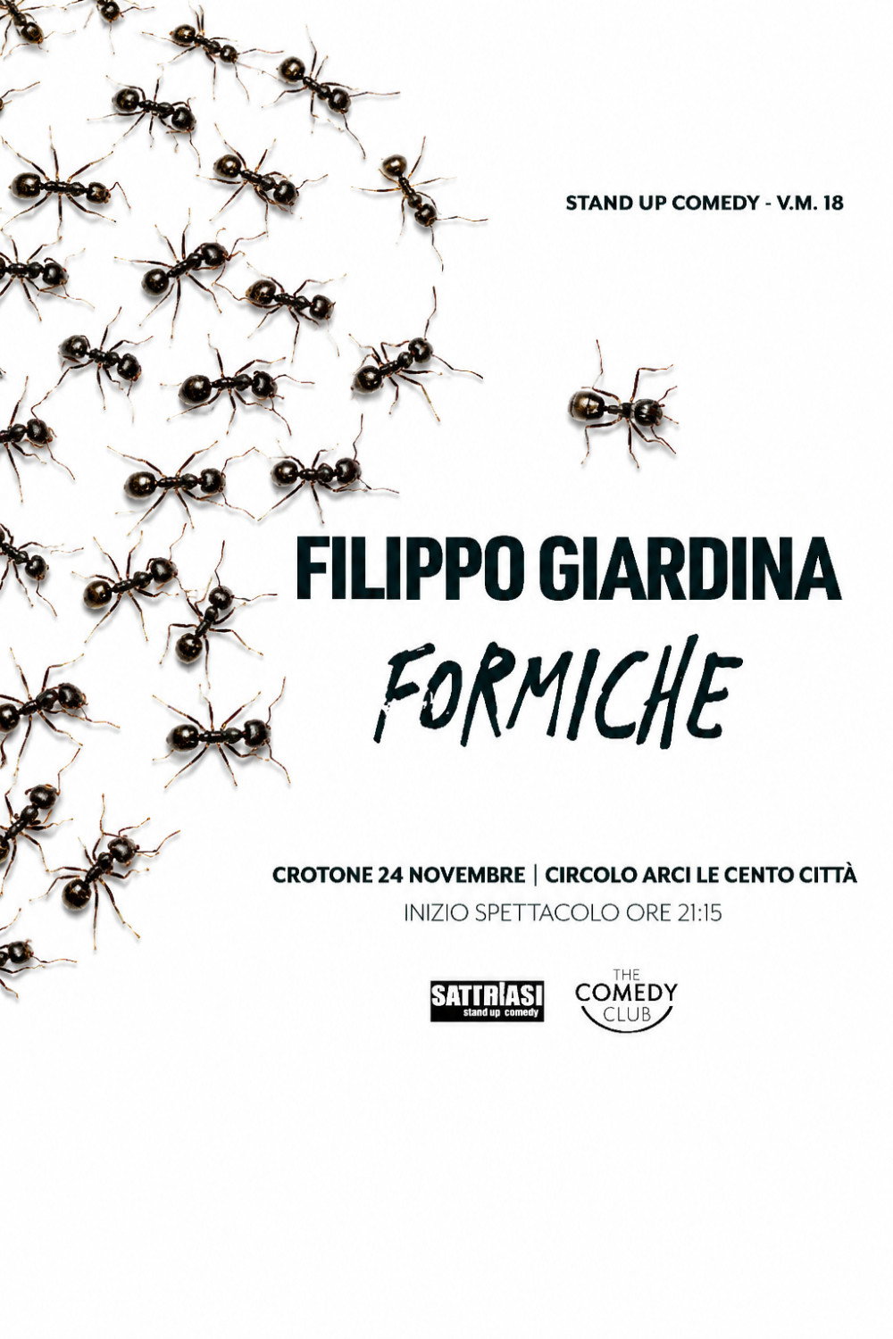Filippo Giardina: Formiche