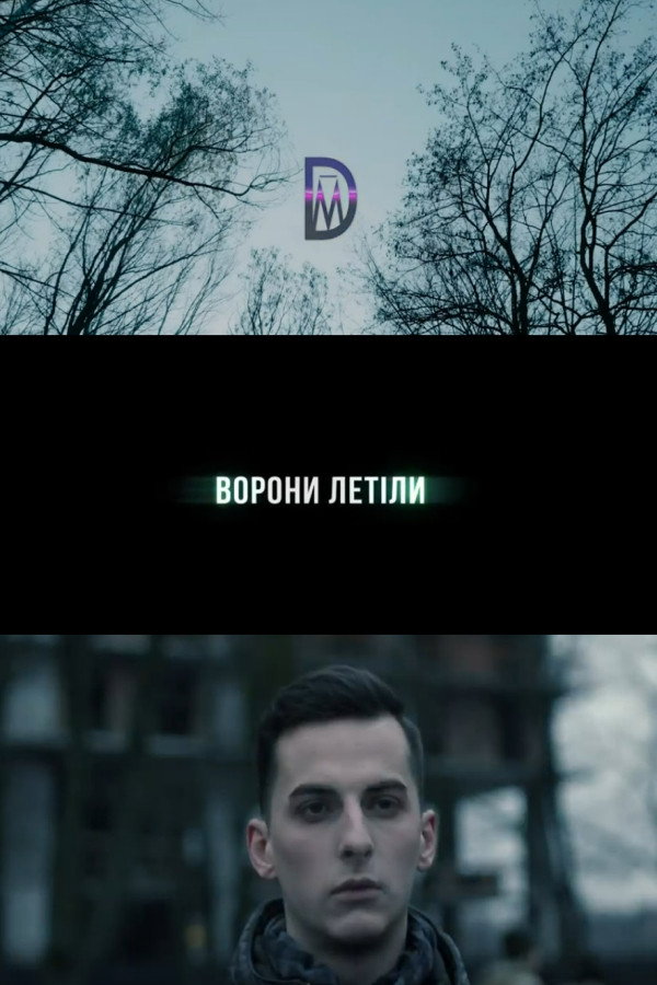 Ворони летіли